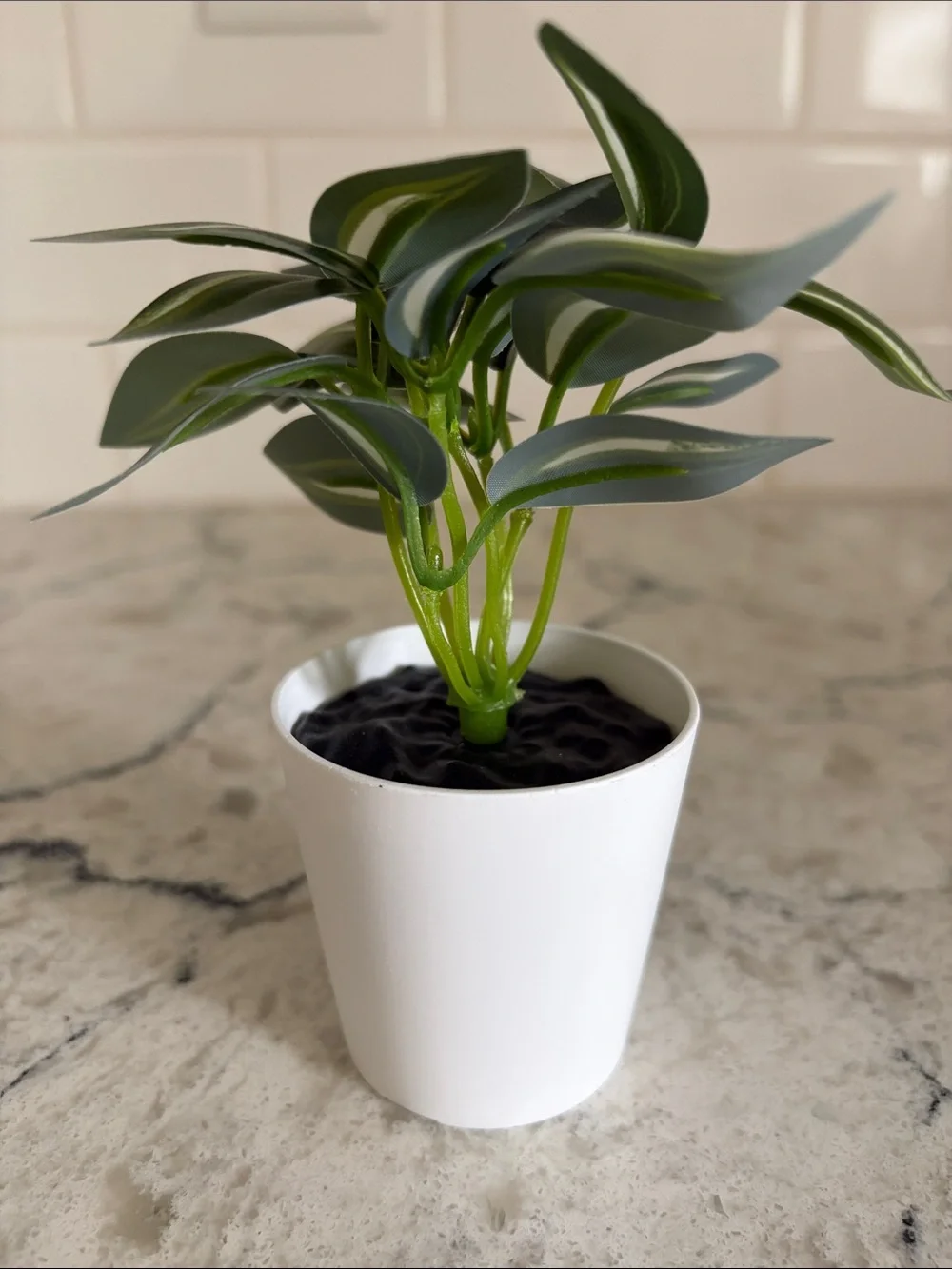 Beautifully Hand-turned Wood Vase with Faux Plant